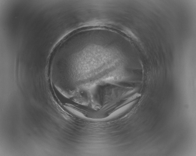 X0000068821216200605191824