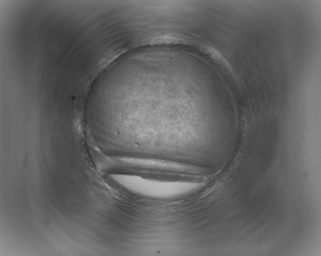 X0000068821217200605191824