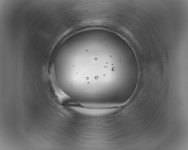 X0000068821218200605191824