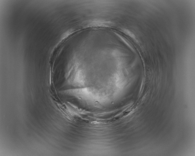 X0000068821219200605191824