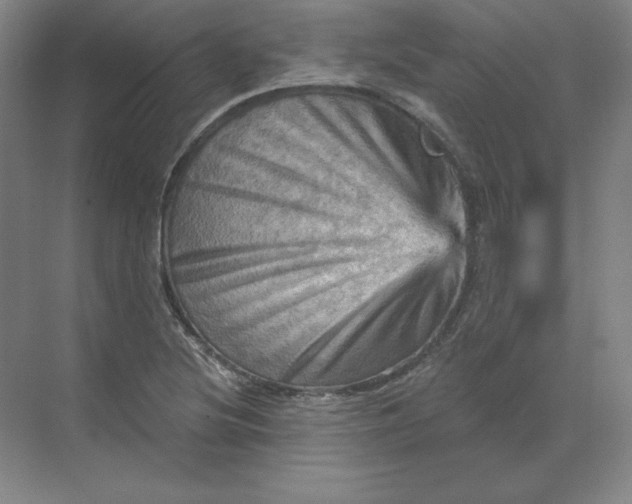 X0000068821220200605191824