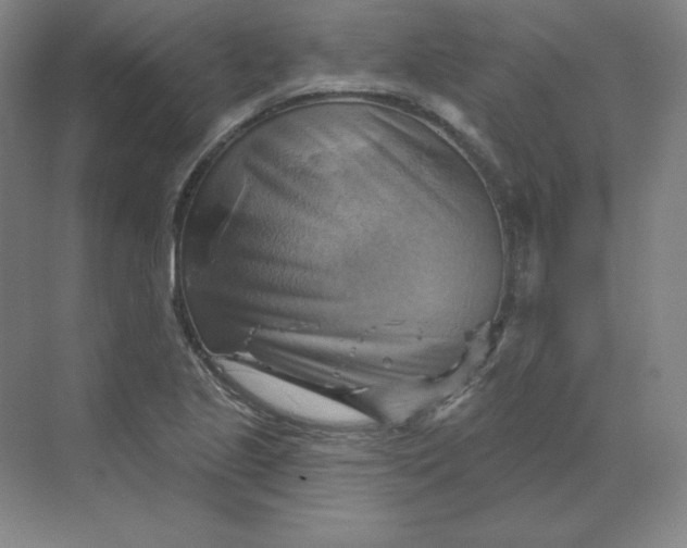 X0000068821221200605191824