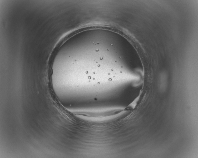 X0000068821222200605191824