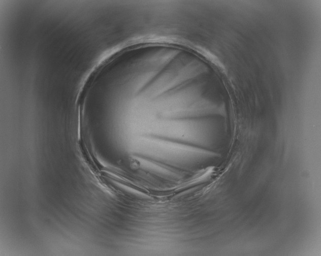 X0000068821223200605191824