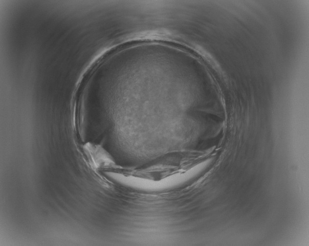 X0000068821224200605191824