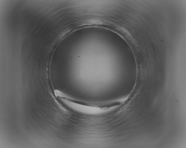 X0000068821225200605191824