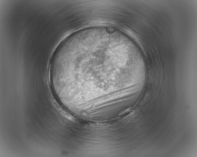 X0000068821227200605191824