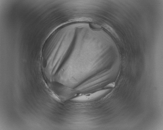 X0000068821228200605191824