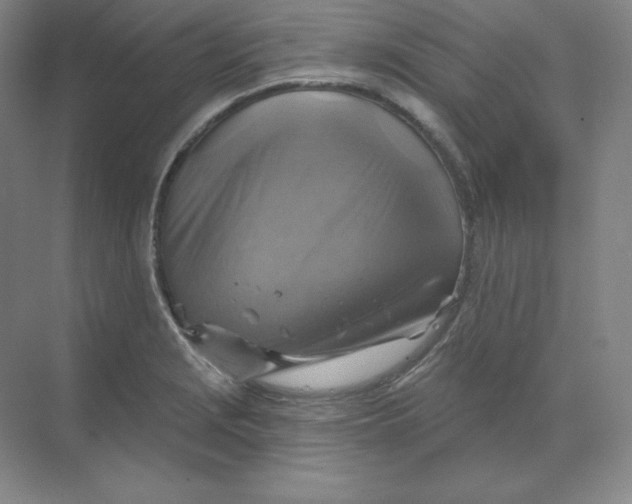 X0000068821229200605191824