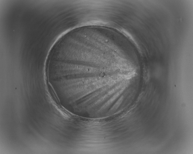 X0000068821230200605191824