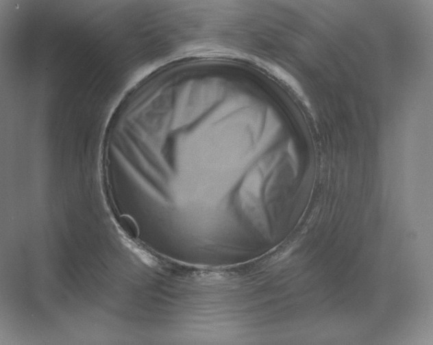 X0000068821231200605191824