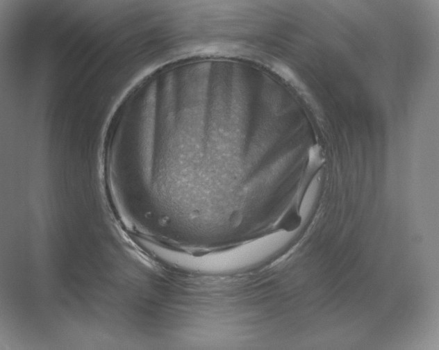 X0000068821232200605191825