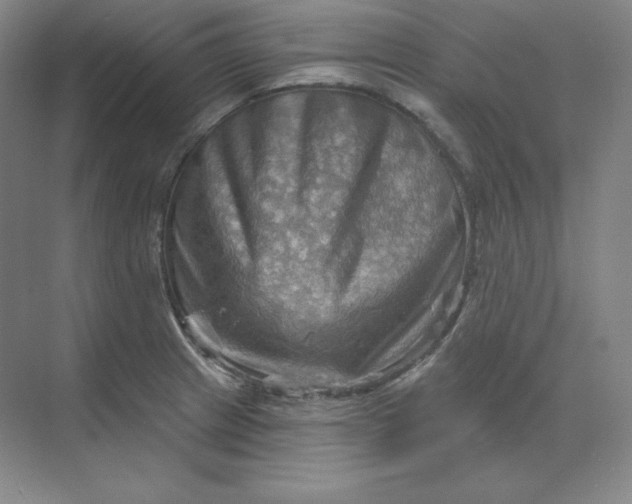 X0000068821233200605191825