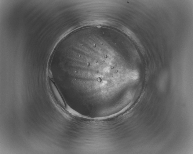 X0000068821234200605191825