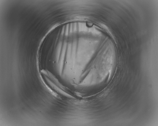 X0000068821235200605191825