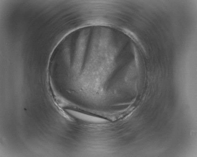 X0000068821236200605191825