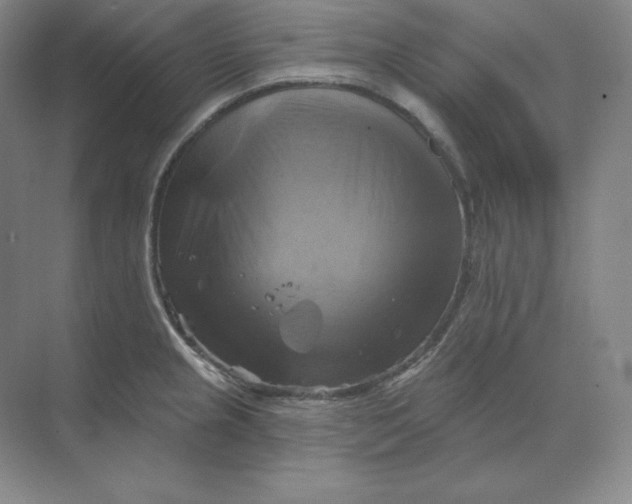 X0000068821237200605191825