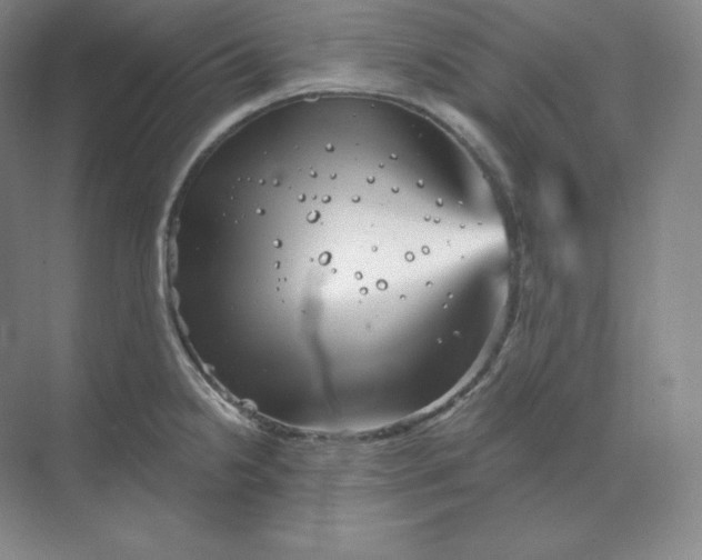 X0000068821238200605191825