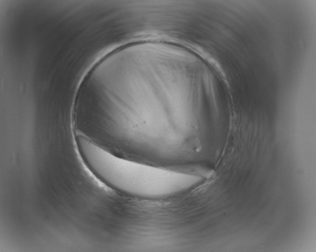 X0000068821239200605191825