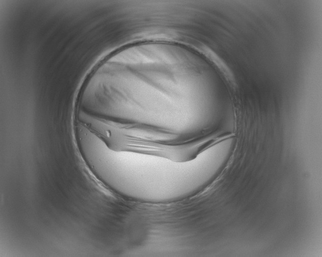 X0000068821240200605191825