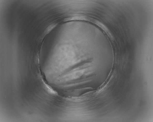 X0000068821241200605191825