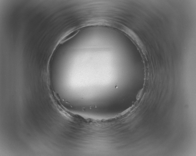 X0000068821242200605191825