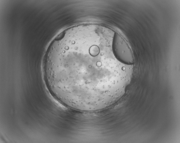 X0000068821243200605191825