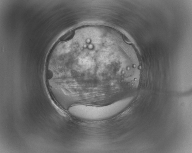 X0000068821245200605191825