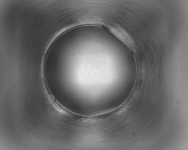 X0000068821246200605191825