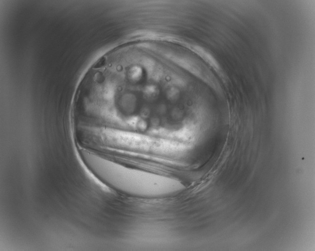 X0000068821247200605191825