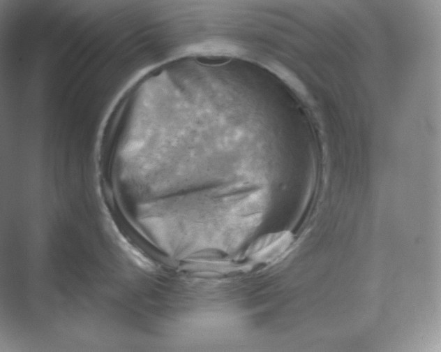 X0000068821248200605191825