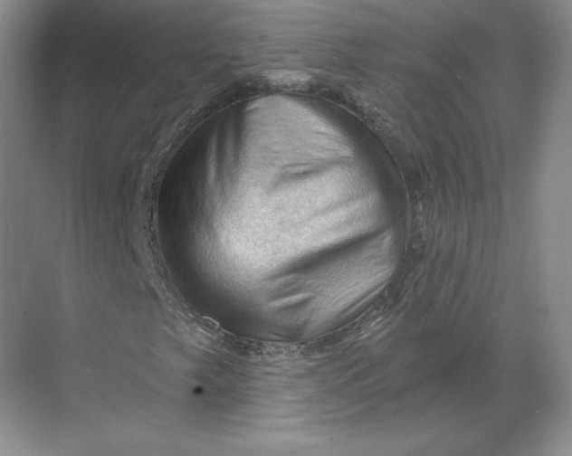 X0000068821249200605191824