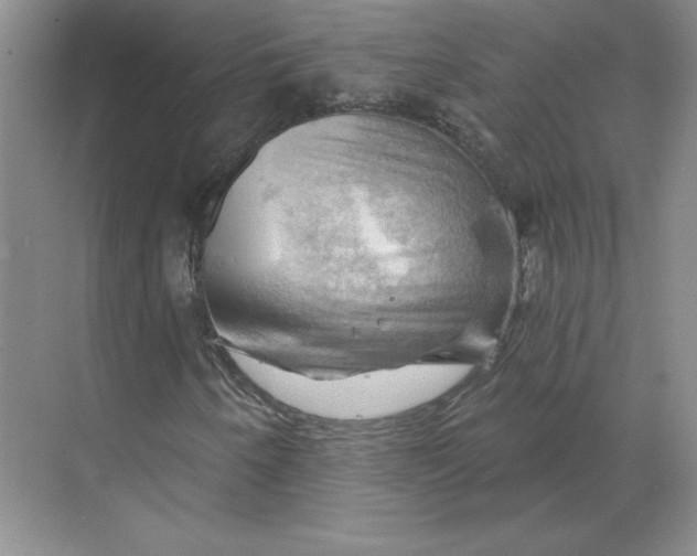 X0000068821250200605191824