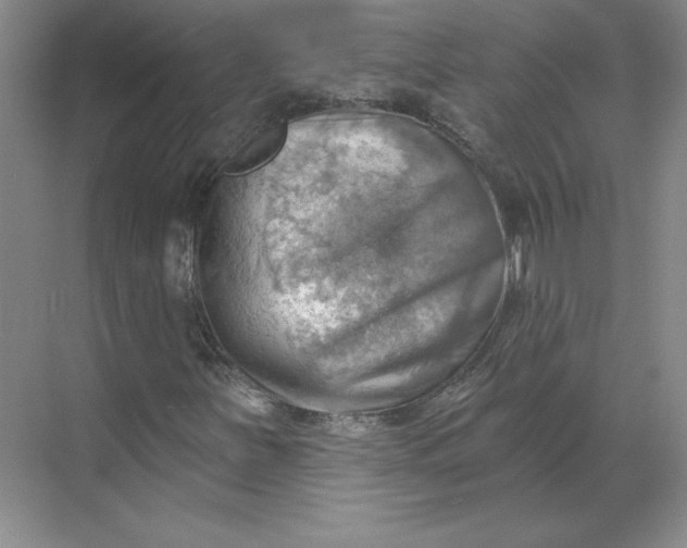 X0000068821251200605191824