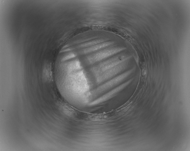 X0000068821252200605191824