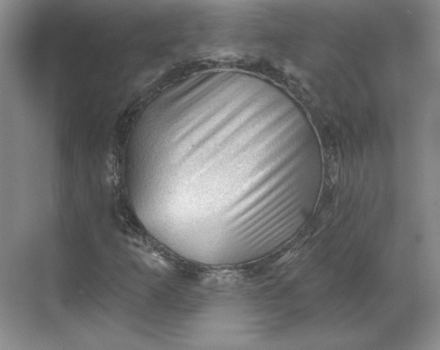 X0000068821253200605191824