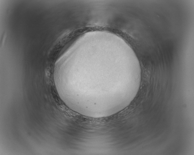 X0000068821254200605191824