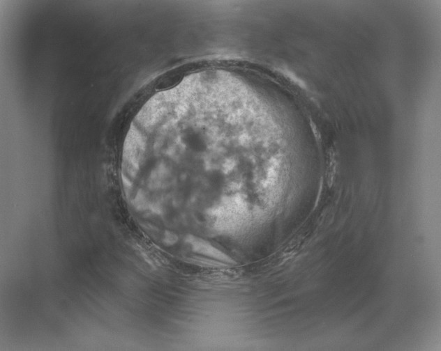 X0000068821255200605191824