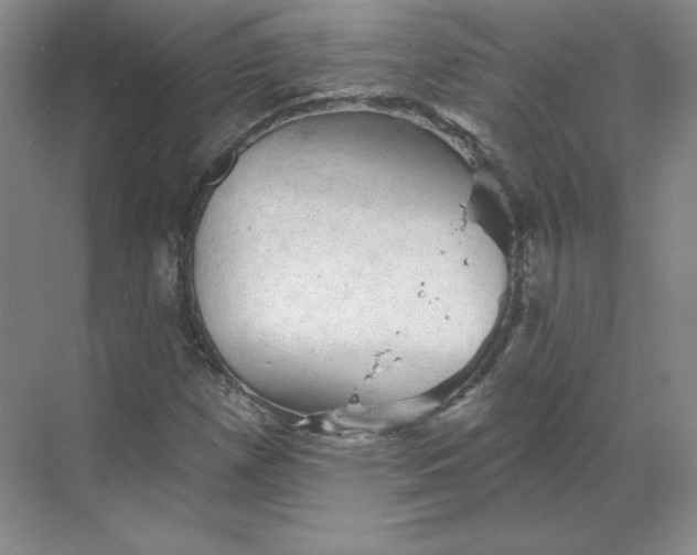 X0000068821257200605191824