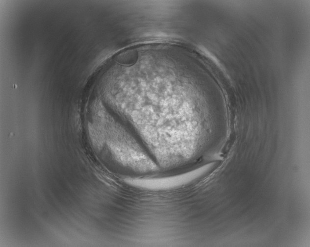 X0000068821259200605191824