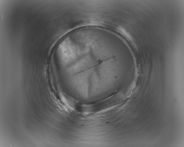 X0000068821260200605191824