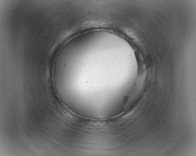 X0000068821261200605191824