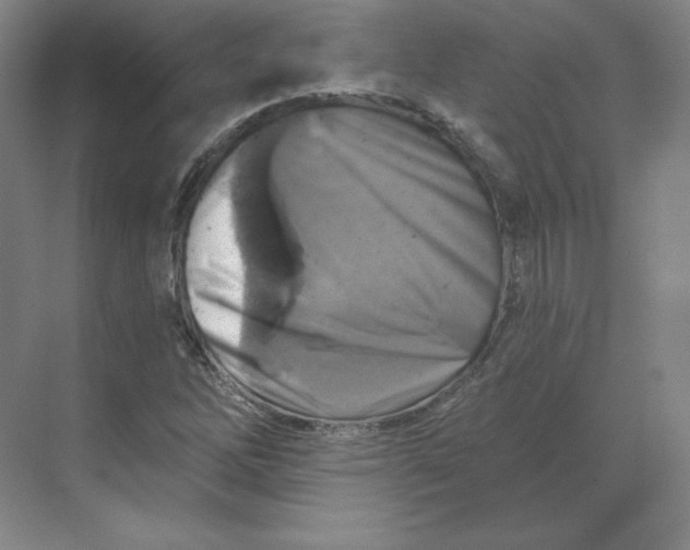 X0000068821262200605191824