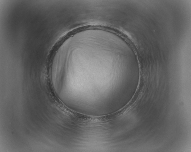 X0000068821263200605191824