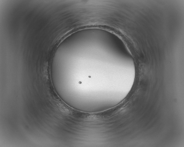 X0000068821265200605191824