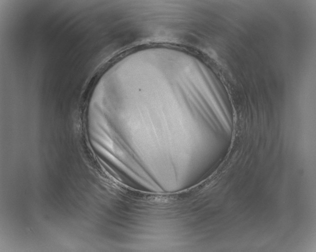 X0000068821266200605191824