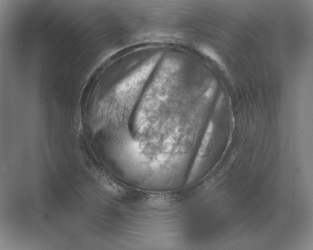 X0000068821267200605191824