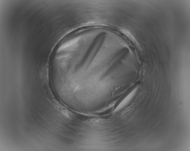 X0000068821268200605191824