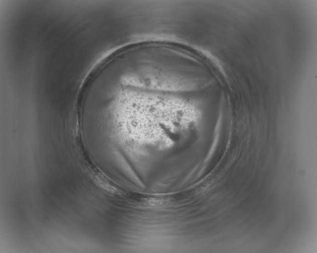 X0000068821271200605191824