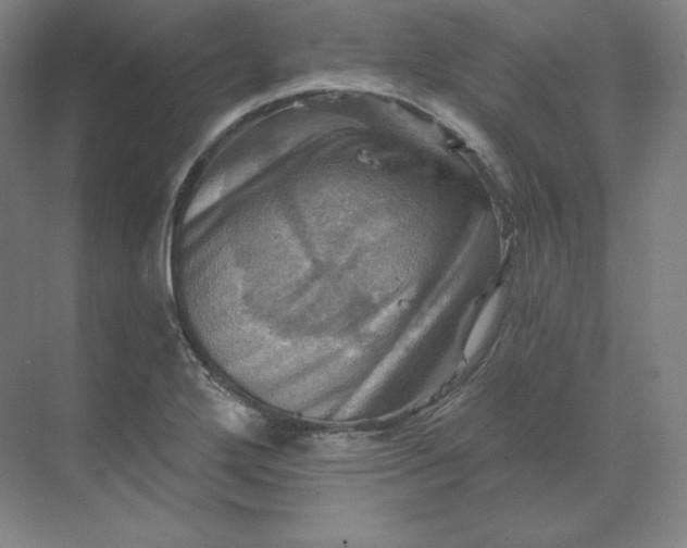 X0000068821272200605191824